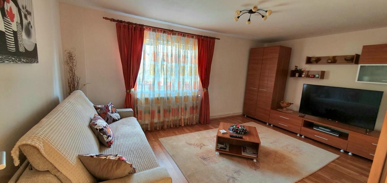 Apartment Cristian ทิมิชัวรา ภายนอก รูปภาพ